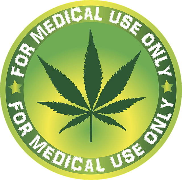 Georgia House And Senate Pass Differing Medical Marijuana Bills To Jumpstart Stalled Program – Marijuana Moment