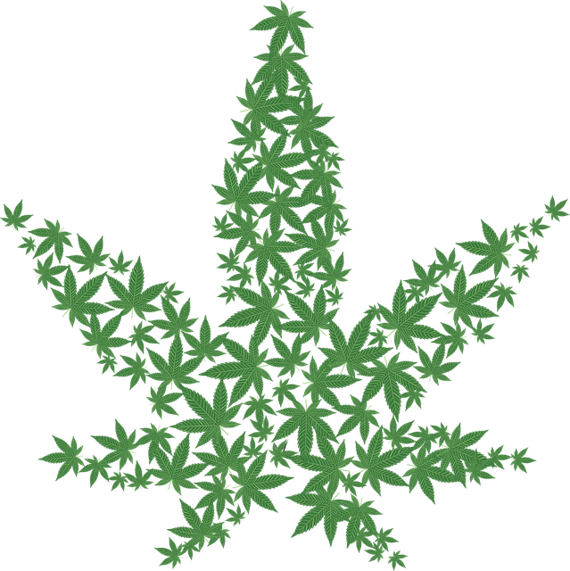 Congress Keeps DC Marijuana Sales Ban In Place But Continues Protections For Medical Cannabis States In Spending Legislation – Marijuana Moment