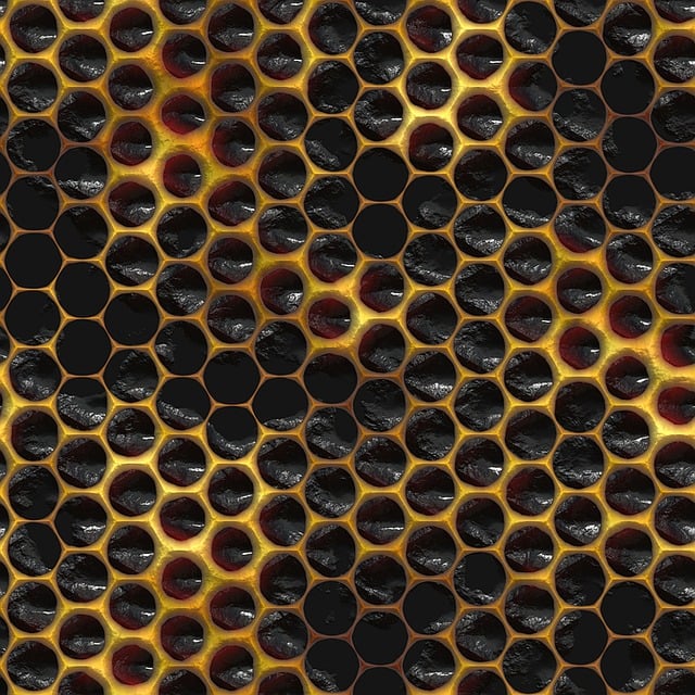 npressfetimg-6264.png