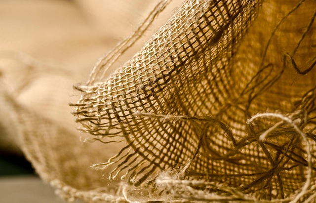 Kratom for Athletes: Unlocking Potential with Nature’s Plant Power