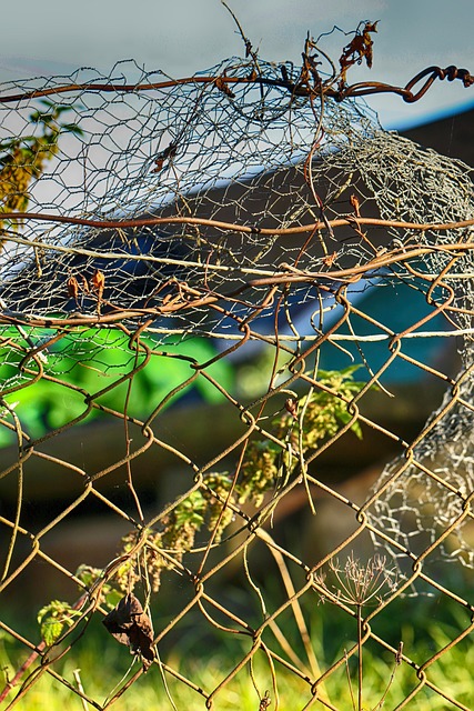 Kratom for Opioid Withdrawal: Safety, Pass Military Tests, & Side Effects