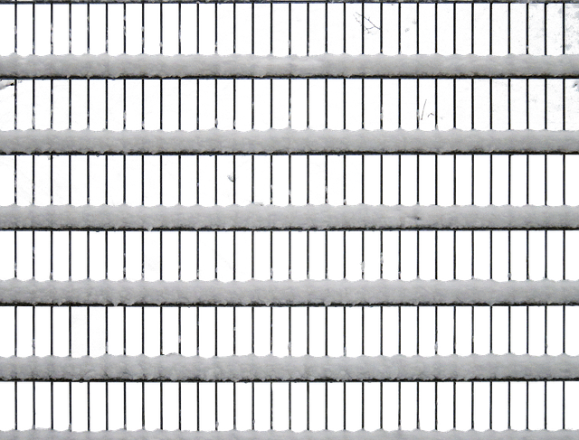 npressfetimg-222.png