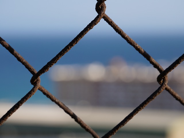 Kratom Legality in California: Enhancing Endurance Training Safety