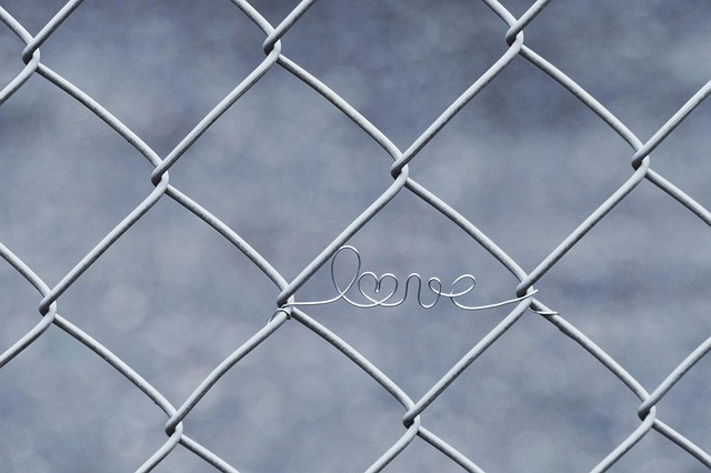 npressfetimg-2727.png