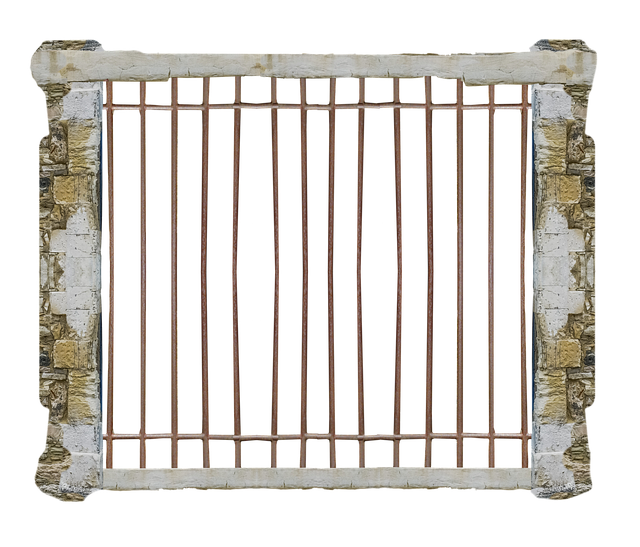 npressfetimg-276.png