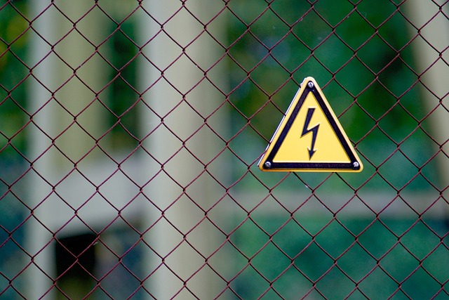 Maximizing Performance: Unlocking Kratom’s Potential with Top Vendors