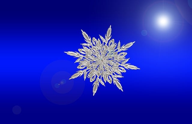 npressfetimg-310.png