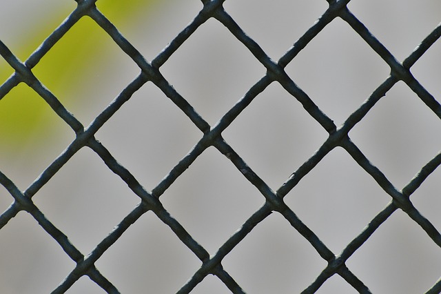npressfetimg-3405.png