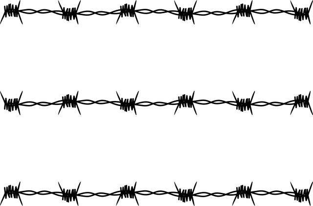 npressfetimg-46.png