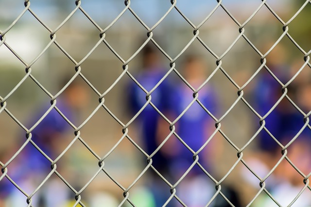 Kratom for Athletes: Unlocking Focus and Clarity in Texas