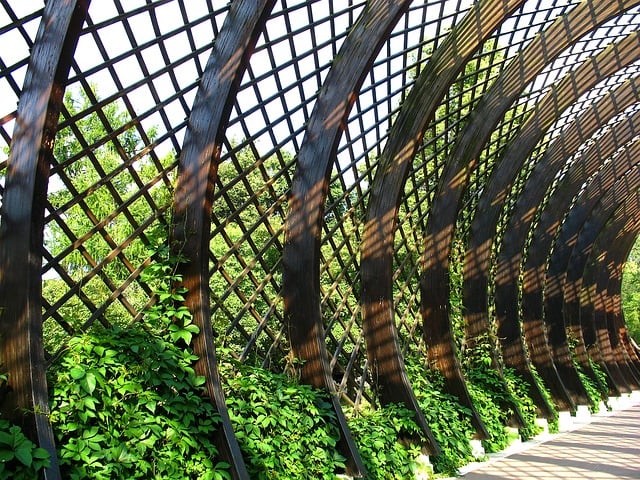 Indiana Kratom Law: Enhancing Endurance Training with Safe Strategies