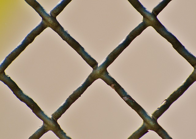 npressfetimg-5803.png