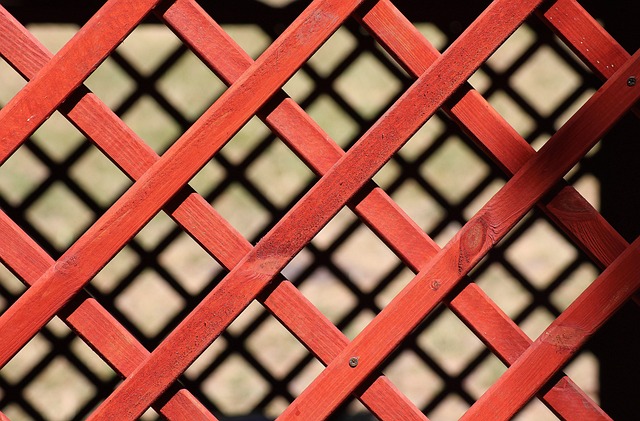 Kratom’s Impact: Energy Boost vs. Heart Health Benefits