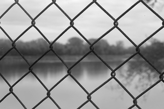Vietnam Kratom Leaves & the Mississippi Ban: Implications for US Importers